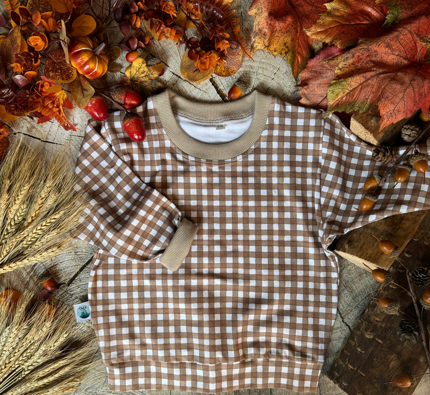 Burnt Orange Gingham Oversized Sweatshirt